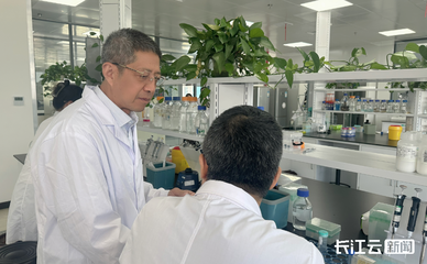 世界首創(chuàng)“稻米造血”生產(chǎn)線武漢投產(chǎn)，生物科技引領(lǐng)醫(yī)療新革命