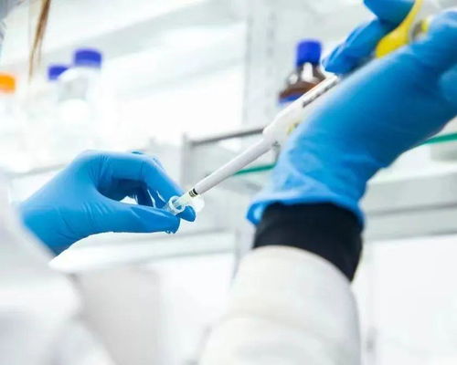 從玻尿酸巨頭到護(hù)膚品牌 華熙生物的轉(zhuǎn)型之路與科技底色之辨